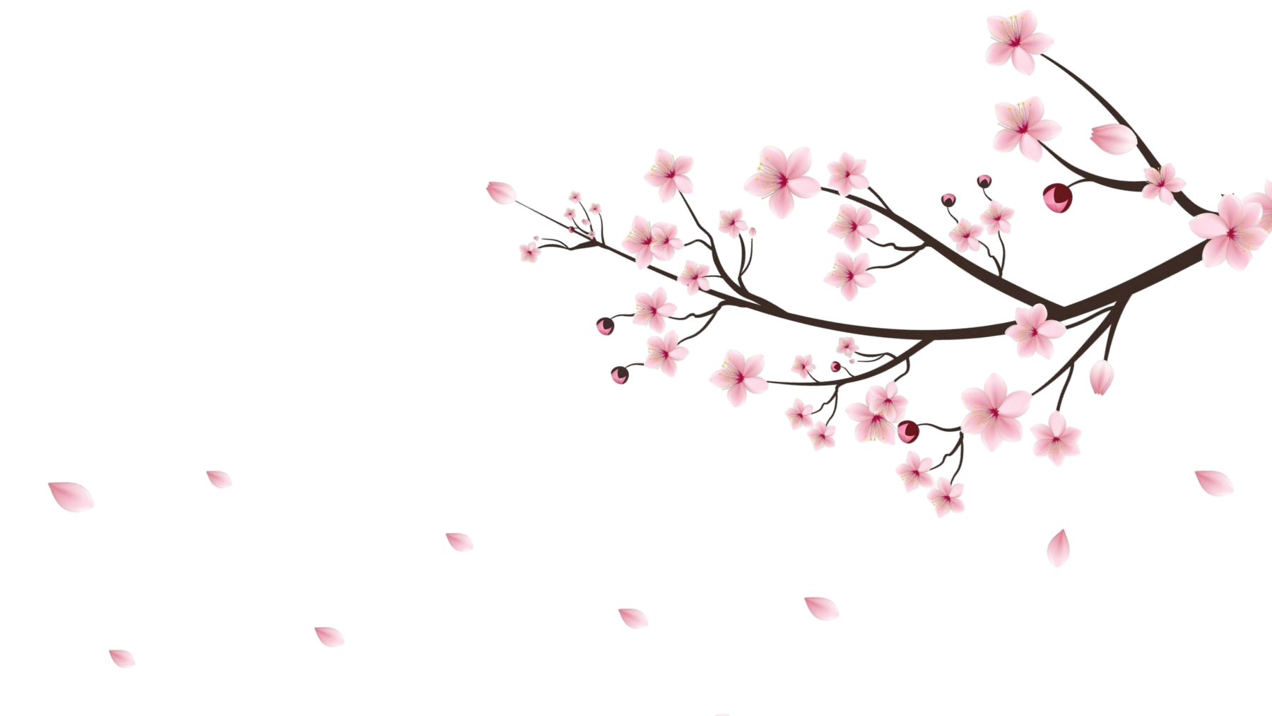 Decorative branch illustration